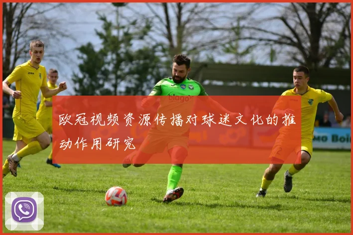 欧冠视频资源传播对球迷文化的推动作用研究