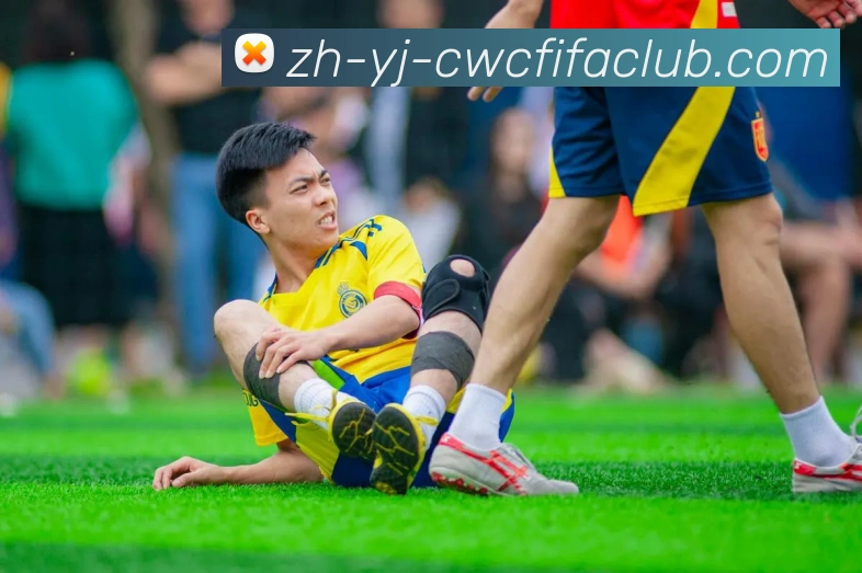 App Interface Preview