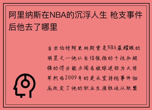 阿里纳斯在NBA的沉浮人生 枪支事件后他去了哪里