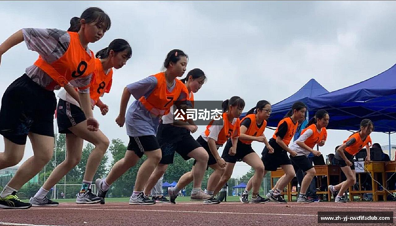 公司动态